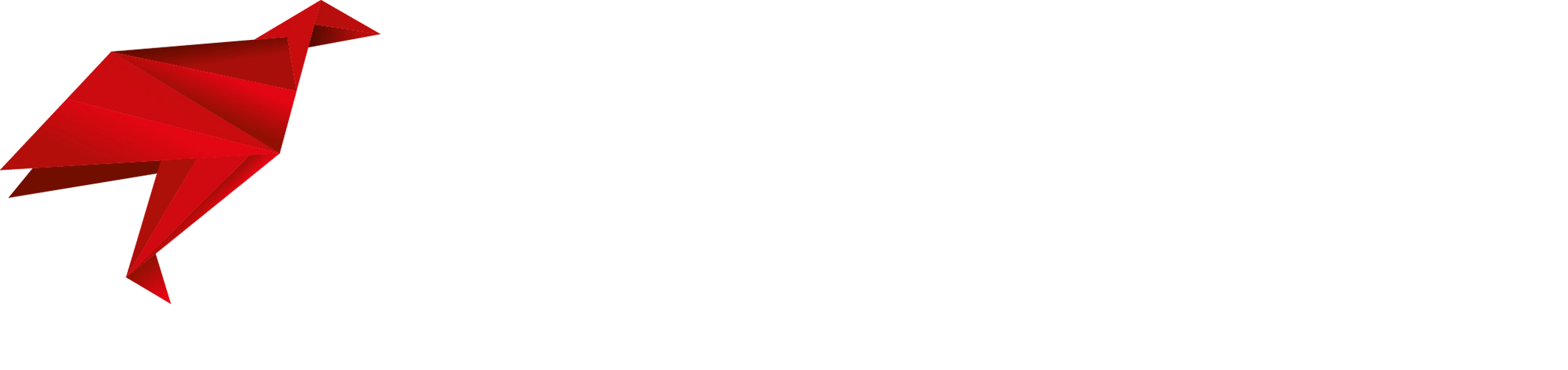 DSolution
